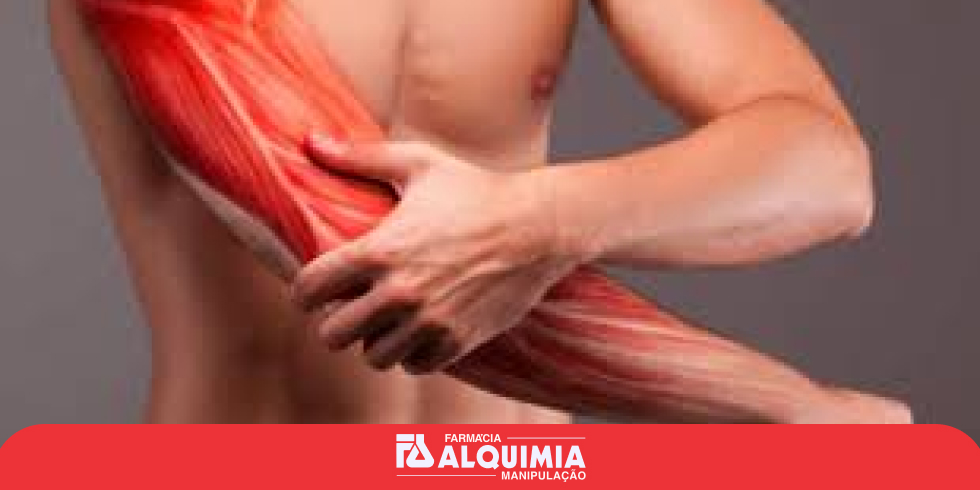 Aumente a Massa Muscular e a Reduza a Fadiga com BCAA
